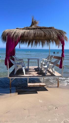 a group of chairs under a straw umbrella on the beach at Résidence Le Marin in Banī ‘Aţāʼ