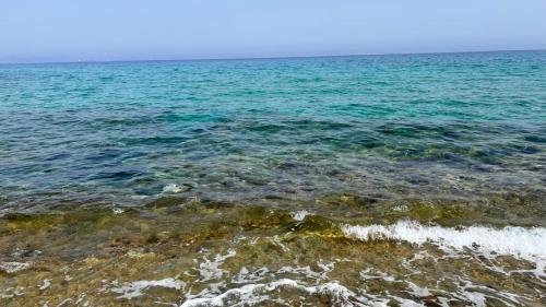 a body of water with rocks and the ocean at Résidence Le Marin in Banī ‘Aţāʼ
