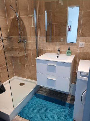 a bathroom with a sink and a shower at HYPER CENTRE DE MARSEILLE VIEUX PORT in Marseille