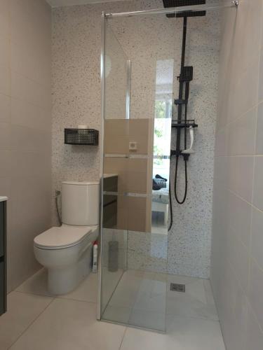 une salle de bain avec toilettes et douche en verre dans l'établissement Apartment Bastide, Cannes, à Cannes