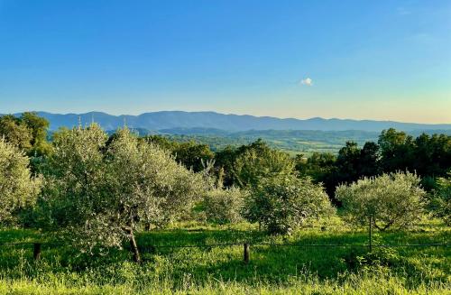 a field with trees and mountains in the distance at Vipava View Studio Apartments in Šempas