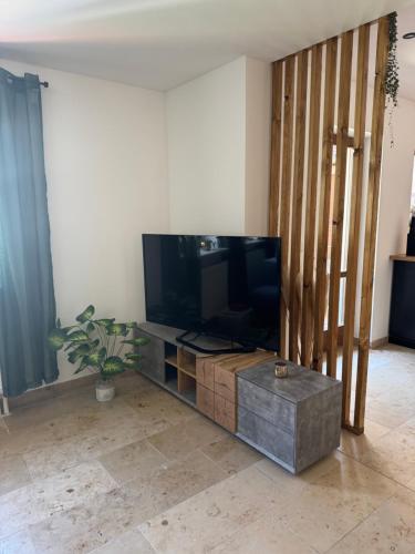 Μια τηλεόραση ή/και κέντρο ψυχαγωγίας στο Ferienwohnung Weissenburg
