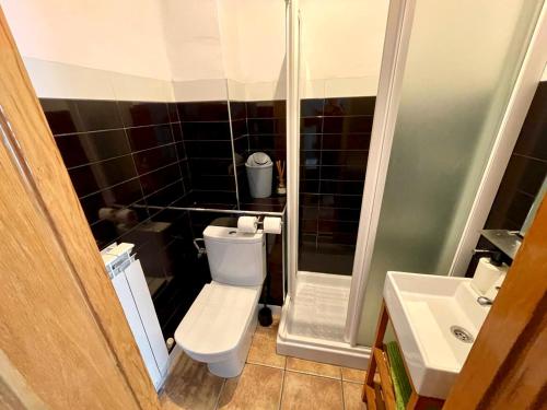 a small bathroom with a toilet and a shower at Casa rural de la Abuela in Cadreita