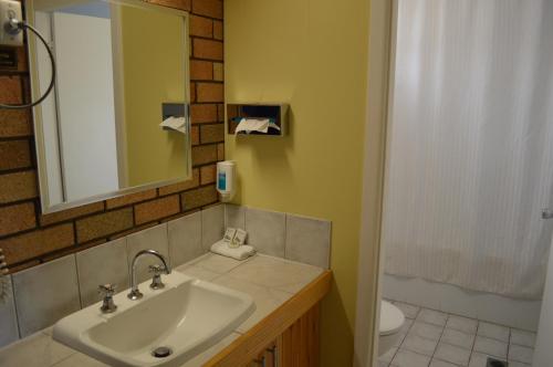 a bathroom with a sink and a mirror and a toilet at Wanderlight Motor Inn in Mudgee