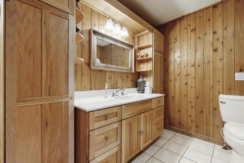 a bathroom with a sink and a toilet at Stone Lake View in Manitowish Waters
