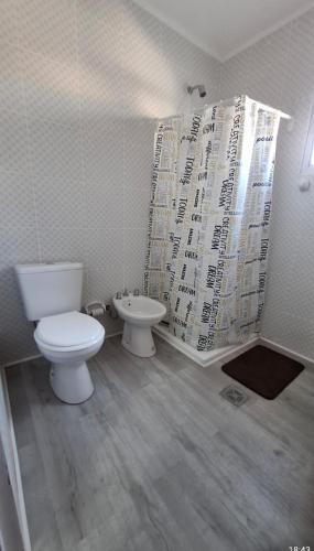 a bathroom with a toilet and a shower and a sink at Arequito centro in Arequito