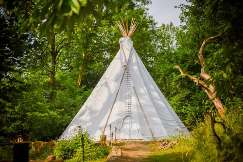 Příroda nedaleko luxury tent