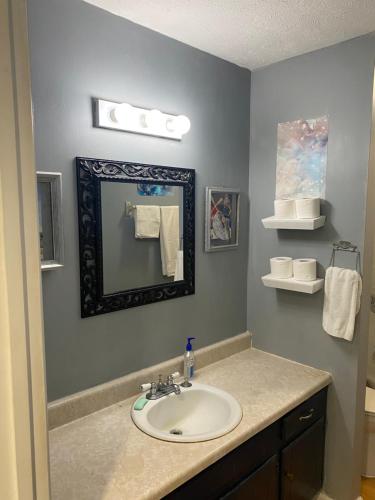 un baño con lavabo y espejo en PaulKTA, en Nashville