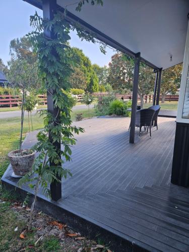 a porch with a bench and a tree on it at Hamilton 3 bedroom country home 4m from city in Hamilton