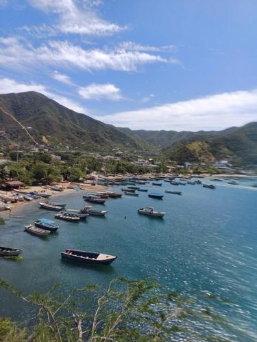 un gruppo di barche in acqua su una spiaggia di Casa San Sebastian, Hab baño compartido a Taganga