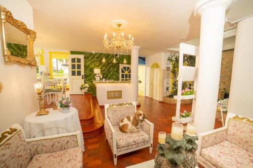 a living room with chairs and a dog sitting in a chair at Posada del Angel in Salento