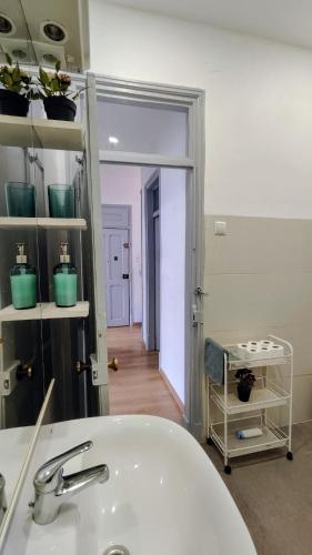 central apartment