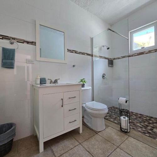 a white bathroom with a toilet and a shower at Casa Colora in Naguabo