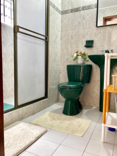 a bathroom with a green toilet and a sink at Casita Italiana in Chía