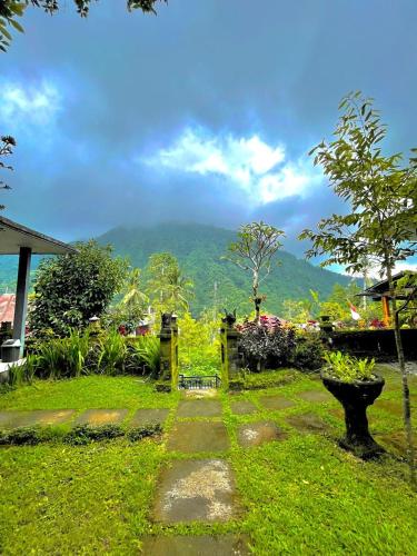 a path in a garden with a mountain in the background at Sekumpul Accommodation in Singaraja