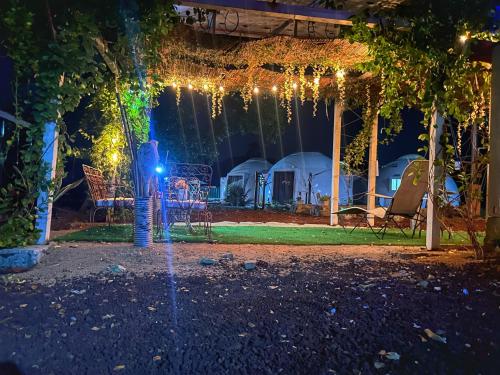 Un jardín fuera de Casa Nautilus barra de navidad