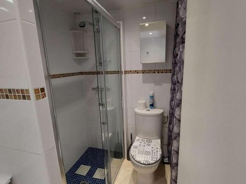 une salle de bain avec toilettes et douche en verre dans l'établissement Maison mitoyenne 3 pièces avec terrasse et parking privé - FR-1-326-855, à Marseillan
