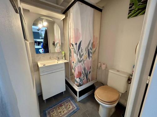 une petite salle de bain avec toilettes et lavabo dans l'établissement Pavillon avec mezzanine, terrasse ensoleillée, WIFI et parking à Argelès-sur-Mer - FR-1-388-240, à Argelès-sur-Mer