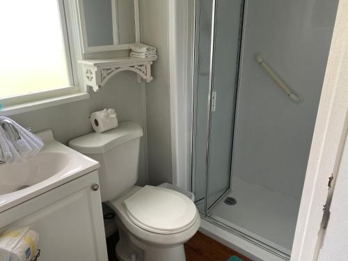 een witte badkamer met toilet en douche bij Blue River Breeze Guest Suite in Daytona Beach