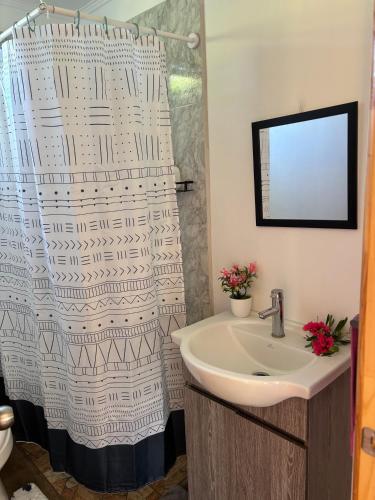 a bathroom with a sink and a shower curtain at Cabañas Tea Tea en Hanga Roa in Hanga Roa