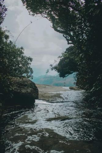 a river with trees on the side of a beach at Royal Mountain Edge ,Knuckles in Rangala