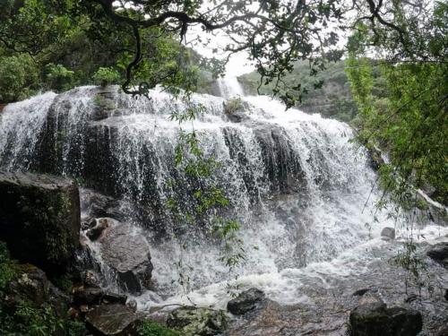 a waterfall in the middle of a forest at Royal Mountain Edge ,Knuckles in Rangala