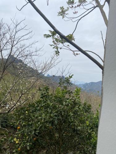 Φωτογραφία από το άλμπουμ του Motel- Nhà nghỉ Bảo Lâm σε Kon Rung (1)
