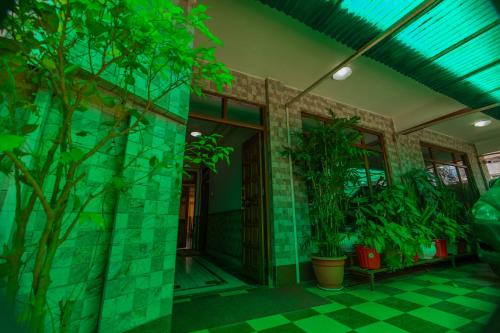 a room with plants on the side of a building at Divyaraa Breathing Stone in Kalimpong