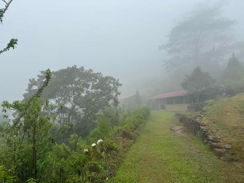 a foggy field with a house in the background and a field with trees at Royal Mountain Edge ,Knuckles in Rangala