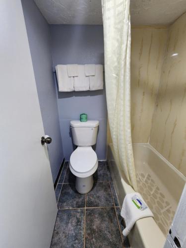 a bathroom with a toilet and a bath tub at Carthage Inn in Carthage