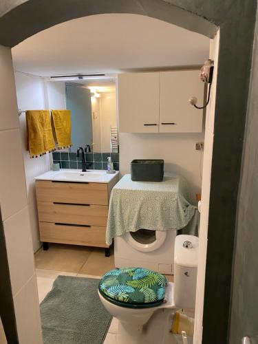 een kleine badkamer met toilet en wastafel bij Belle suite Un petit voyage au calme à 10 mnCV de Béziers entrée indépendante in Béziers