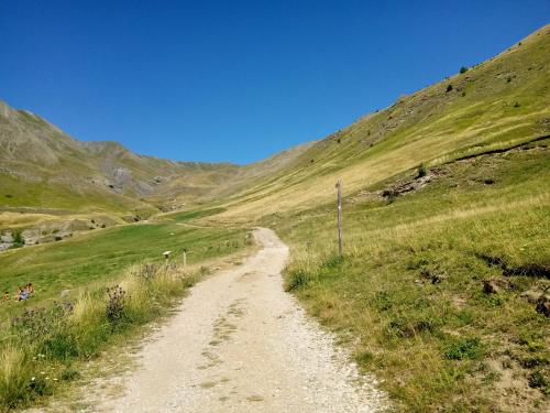 a dirt road in the middle of a grassy hill at La Foux d'Allos Vacances nature Espace Lumière in La Foux