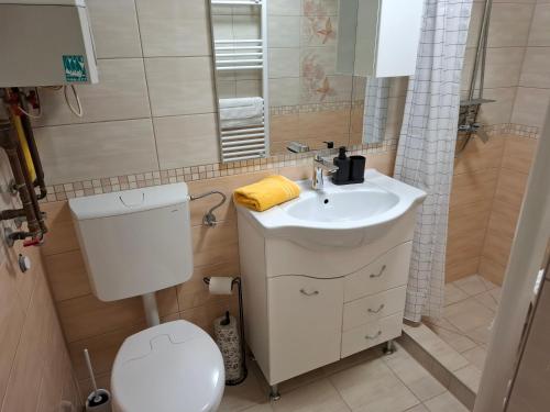 a bathroom with a sink and a toilet and a mirror at Vakantiehuis Het Kleine Kasteel in Orfű