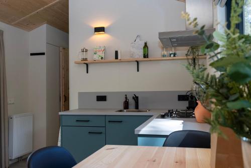 a kitchen with blue cabinets and a wooden table at Boswilg in Zuidwolde
