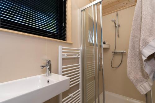 a bathroom with a sink and a shower at Boswilg in Zuidwolde