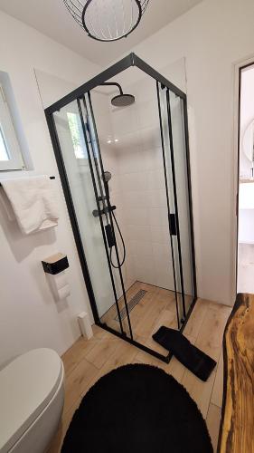 a bathroom with a shower and a toilet at Ferienwohnung mit 180° Meerblick (nähe Opatija) in Dobreć