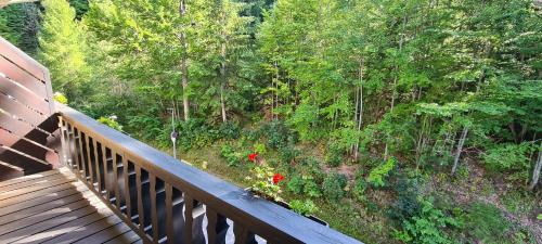an aerial view of a forest from a deck at Kurhotel Renona Rehabilitation in Semmering