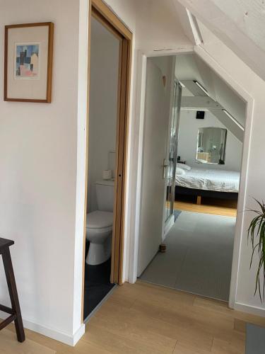 Il comprend une chambre et une salle de bains pourvue de toilettes. dans l'établissement Spacieux et lumineux au centre de Strasbourg, à Strasbourg