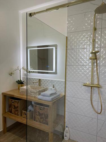 une salle de bain avec une douche en verre avec un lavabo dans l'établissement Chez Mihaela, à La Celle-sous-Gouzon