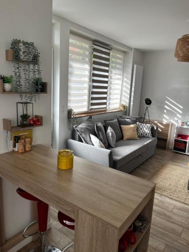 un salon avec un canapé et une table dans l'établissement Chez Mihaela, à La Celle-sous-Gouzon