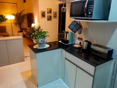 Gallery image of CASA ALOHA - stylish luxe 2bed 3bath luxury home in Mumbai