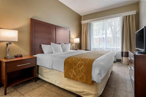 a hotel room with a large bed and a television at Comfort Suites Sawgrass in Tamarac