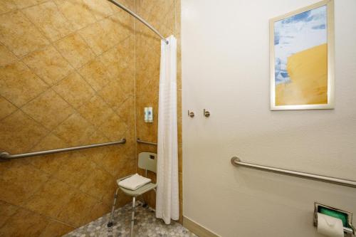 a bathroom with a shower and a toilet at Comfort Suites University Drive in College Station