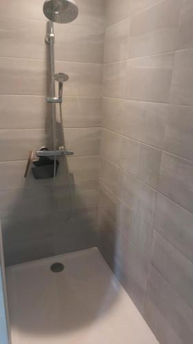 a bathroom with a shower with a shower head at chez Marie et Xav in Frasne-les-Meulières