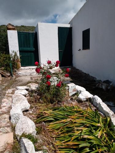 Gioia House
