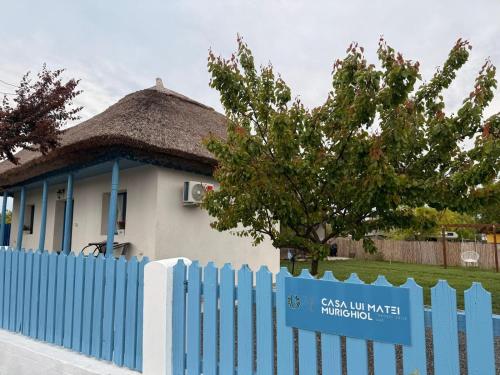 a blue fence in front of a small house at Casa lui Matei Murighiol#2 in Murighiol