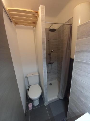 une petite salle de bain avec toilettes et douche dans l'établissement Le Triton, à Saint Cyprien Plage
