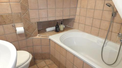 a bathroom with a bath tub and a toilet at Casa Marina 50 mt dal mare in Imperia