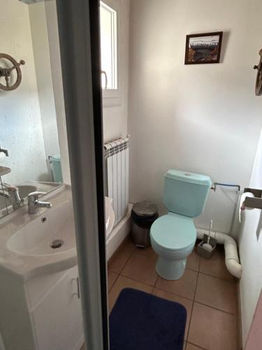 a bathroom with a blue toilet and a sink at le Belvédère Maison d hotes in Sainte-Anne