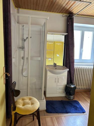a bathroom with a shower and a sink at le Belvédère Maison d hotes in Sainte-Anne